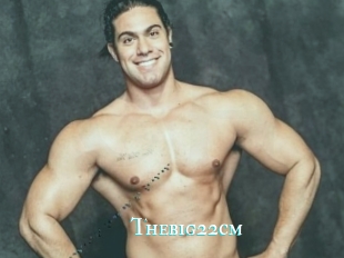 Thebig22cm