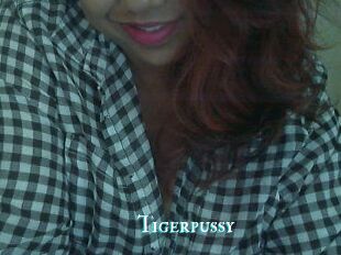 Tigerpussy