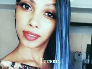 Tijgerin