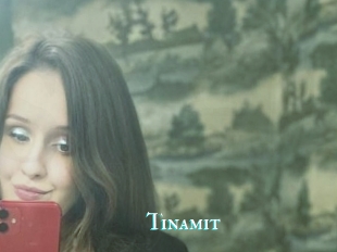 Tinamit
