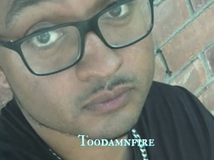 Toodamnfire