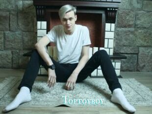 Toptoyboy