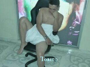 Torito