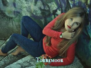 Torrymoor