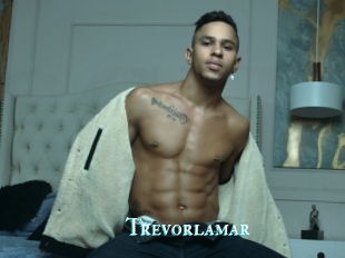 Trevorlamar