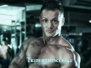 Tridentmuscles4u