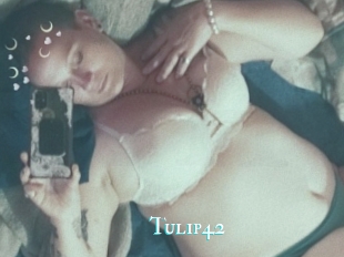 Tulip42