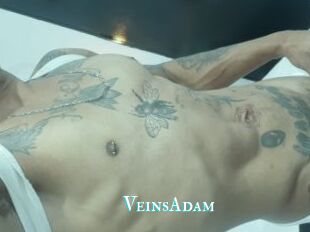 VeinsAdam
