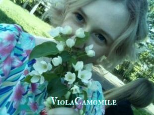ViolaCamomile