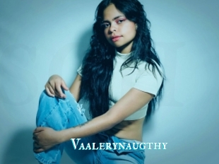 Vaalerynaugthy
