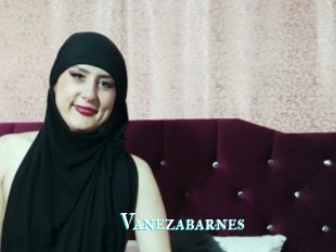 Vanezabarnes
