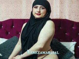 Vanezamarcial