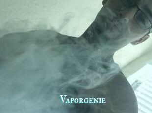 Vapor_genie