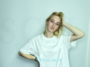 Vedalakes