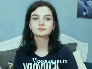 Veneraharlin