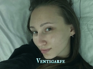Ventigarfe