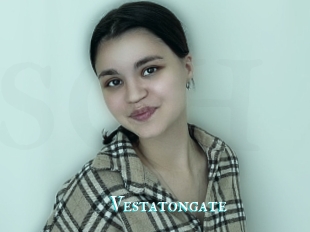 Vestatongate