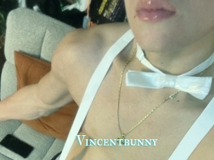 Vincentbunny