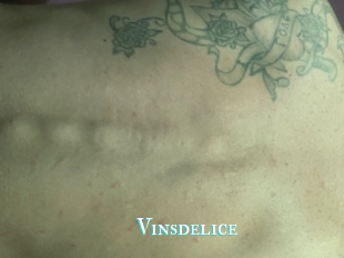 Vinsdelice
