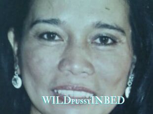 WILDpussyINBED