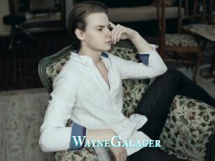 WayneGalager