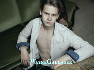 WayneGallager