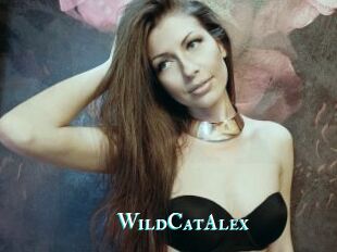 WildCatAlex