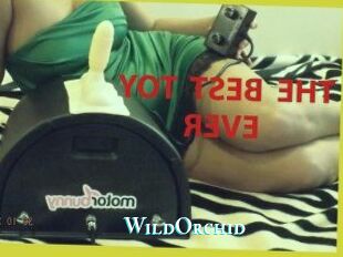 WildOrchid_