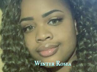 Winter_Rosea