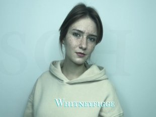 Whitneyfigge