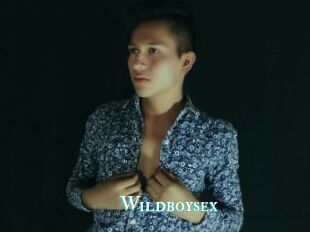 Wildboysex