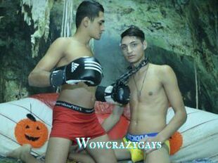 Wowcrazygays