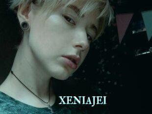 XENIA_JEI