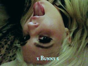 _x_Bunny_x_