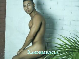 Xandermuscle