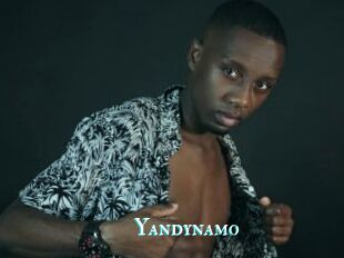 Yandynamo
