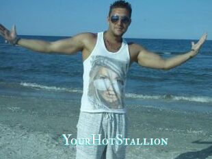 YourHotStallion