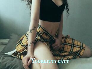 Yourkitty_catt