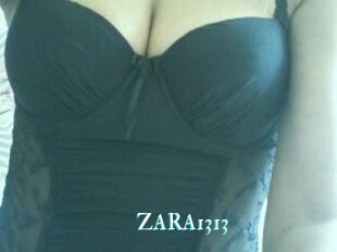 ZARA1313