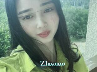 ZIbaobao