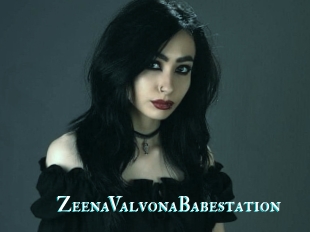 ZeenaValvonaBabestation