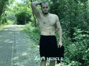 Zefs_muscle