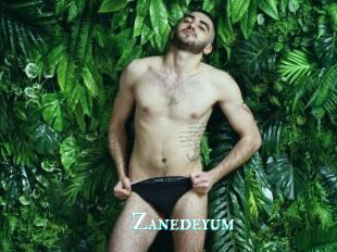 Zanedeyum