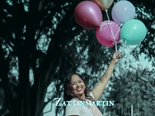 Zattinmartin