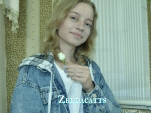 Zeldacatts
